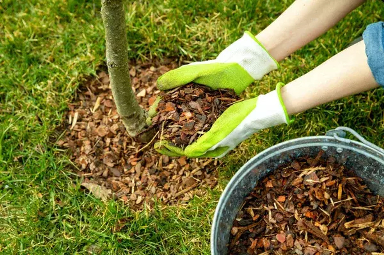 Fertilizer Dirt Mulch and Rocks